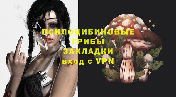 амф Алзамай