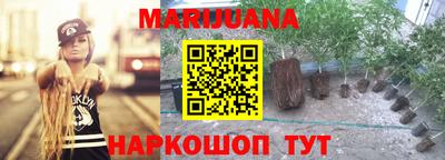 кокс Гай