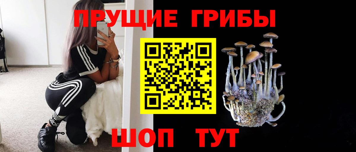 Псилоцибиновые грибы ЛСД  Вход с VPN  Псилоцибиновые грибы Magic Shrooms  Полысаево 